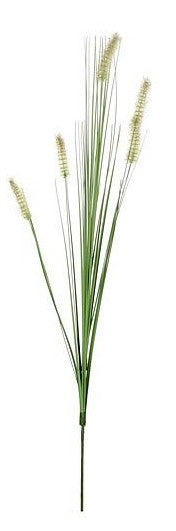 DOGTAIL GRASS GREEN - L84CM | EDEL1005562