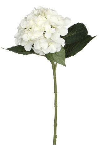 HYDRANGEA WHITE - L51CM | EDEL1011208