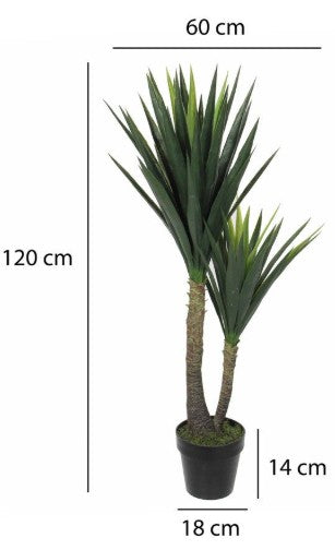 YUCCA IN POT H120CM | EDEL1026451