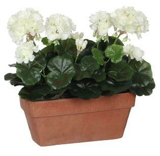GERANIUM WHITE IN BALCONY TRAY | EDEL1044340
