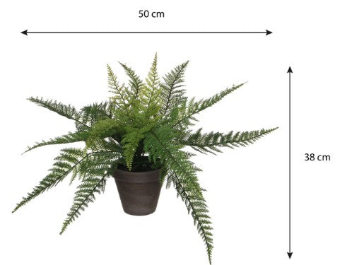 FERN GREEN POT GREY D13.5CM H38CM | EDEL1044531