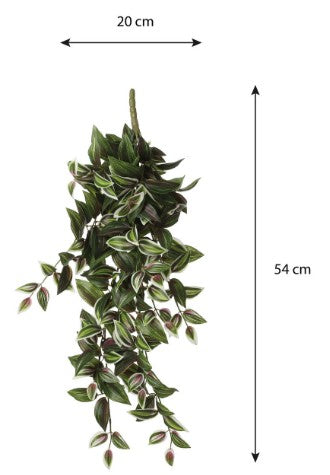 TRADESCANTIA HANGING L54XW20XH15CM | EDEL1074942