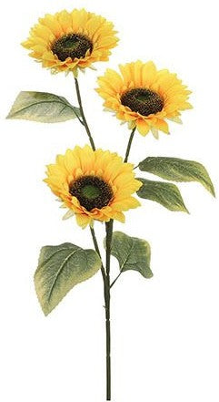 SUNFLOWER YELLOW - L92CM | EDEL1074995