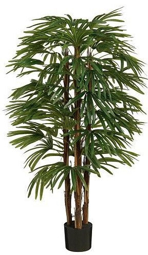 RAPHIS PALM IN POT GREEN | EDEL1132358