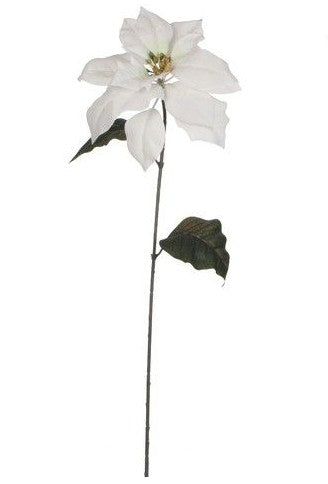 POINSETTIA WHITE - L71CM | EDEL913908