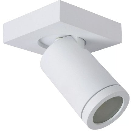 TAYLOR - CEILING SPOTLIGHT BATHROOM - LED DIM TO W | L099300531