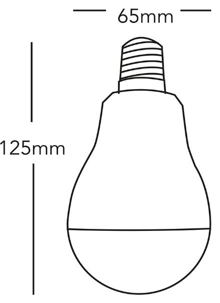 19W LED GLS LAMP CW ES | SA7019WE27CW