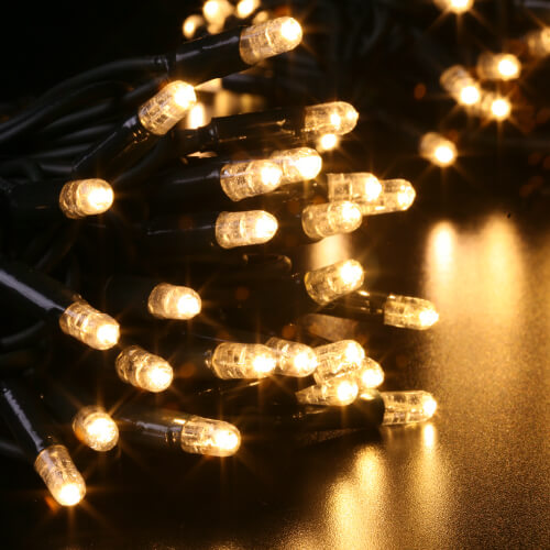 LEDPLR100WW