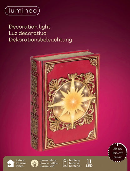 LED BOOK POLYRESIN STEADY BO INDOOR | 480874