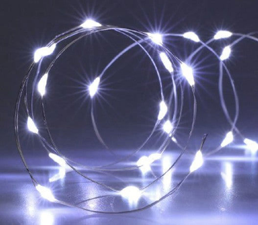 SILVER WIRE 160LED IP44 WHITE | AX9730730