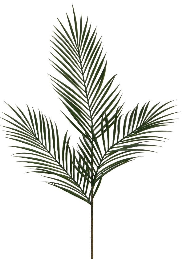 ARECA PALM GREEN - L99CM | EDEL1034385