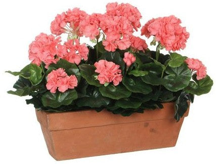 GERANIUM SALMON IN BALCONY TRAY TERRA | EDEL1044334