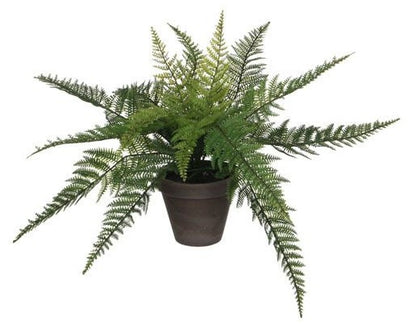 FERN GREEN POT GREY D13.5CM H38CM | EDEL1044531