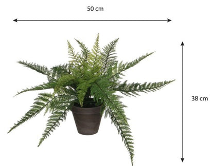 FERN GREEN POT GREY D13.5CM H38CM | EDEL1044531