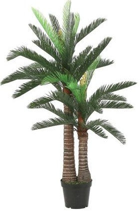 CYCAS PALM IN PLASTIC POT GREEN | EDEL1058990