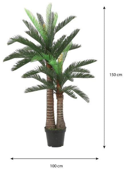 CYCAS PALM IN PLASTIC POT GREEN | EDEL1058990