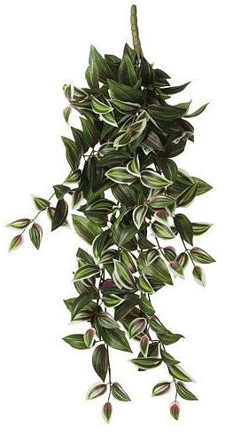 TRADESCANTIA HANGING L54XW20XH15CM | EDEL1074942