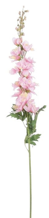 DELPHINIUM PINK - L78CM
 | EDEL1083315