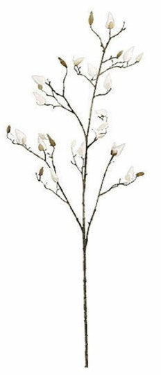MAGNOLIA WHITE - L112XW25XH5CM | EDEL1117284