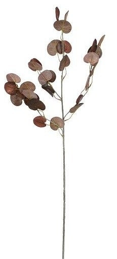 EUCALYPTUS SPRAY BROWN - L73CM 
 | EDEL1131773