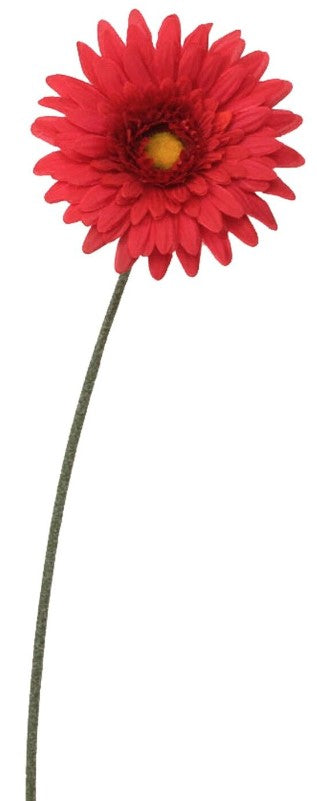 GERBERA RED - L64CM
 | EDEL1131918