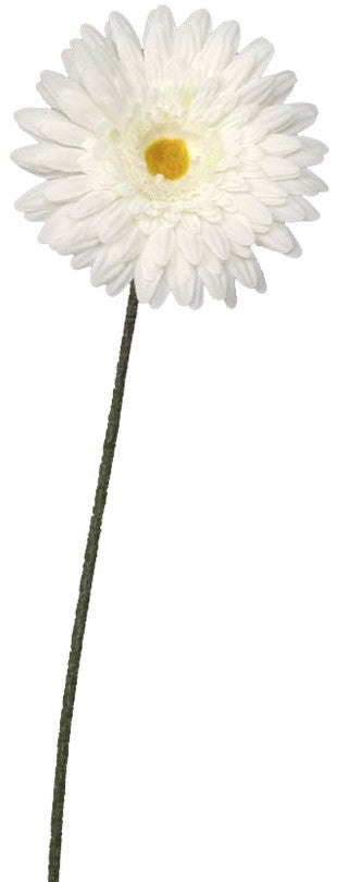 GERBERA WHITE - L64CM 
 | EDEL1131919