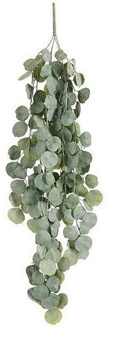 HOYA HANGING GREEN - L94XW33XH3CM | EDEL1139859
