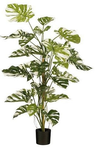 MONSTERA TREE GREEN - H140XD120CM | EDEL1140085
