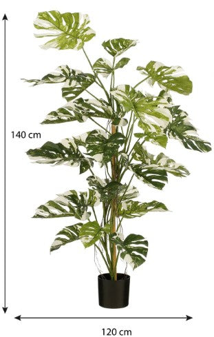 MONSTERA TREE GREEN - H140XD120CM | EDEL1140085