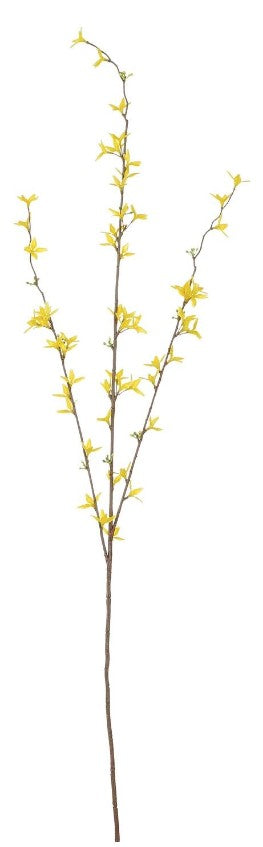 FORSYTHIA YELLOW - L97CM
 | EDEL1150685