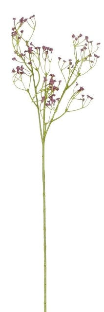 GYPSOPHYLA PURPLE - L54CM
 | EDEL1150804