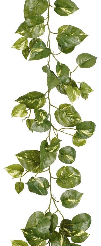 GARLAND POTHOS GREEN - L180XW12XH5CM
 | EDEL1150944