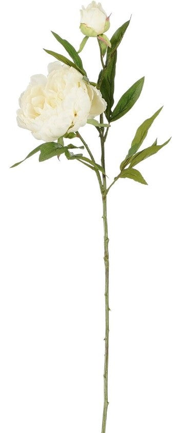 PEONY CREAM - L71CM
 | EDEL1150959