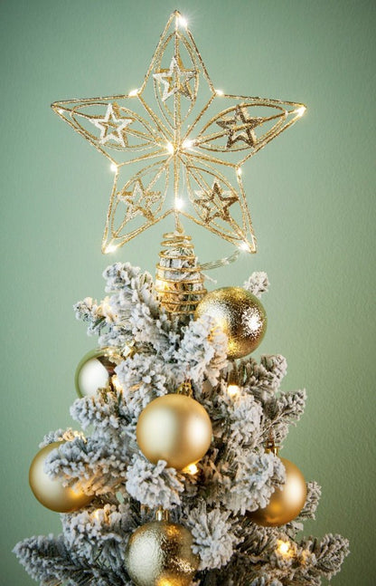 TREETOP STAR CHAMPAGNE | EDEL1206160