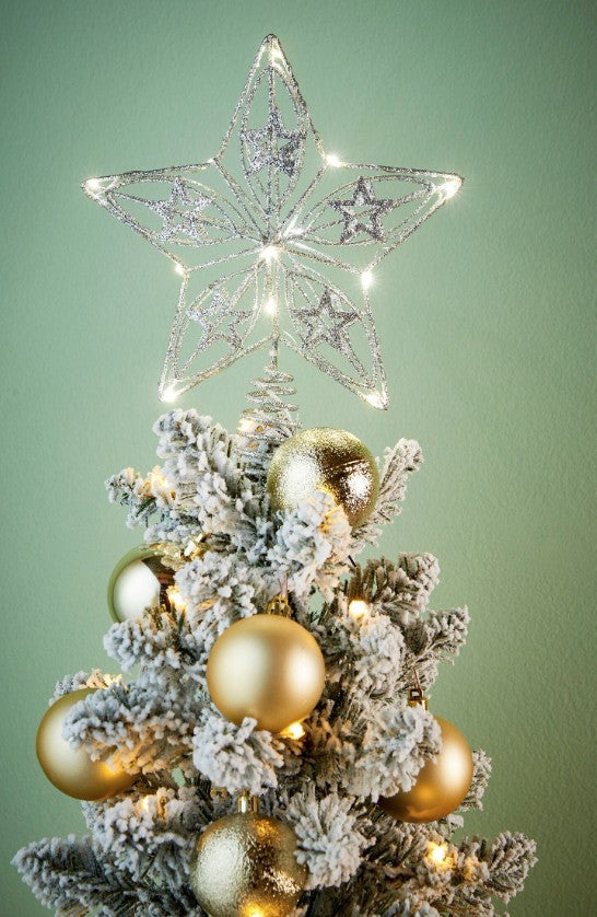 TREETOP STAR SILVER | EDEL1206164
