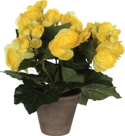 BEGONIA YELLOW IN POT ARTIFICIAL | EDEL977007