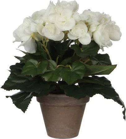BEGONIA WHITE IN POT ARTIFICIAL | EDEL977008