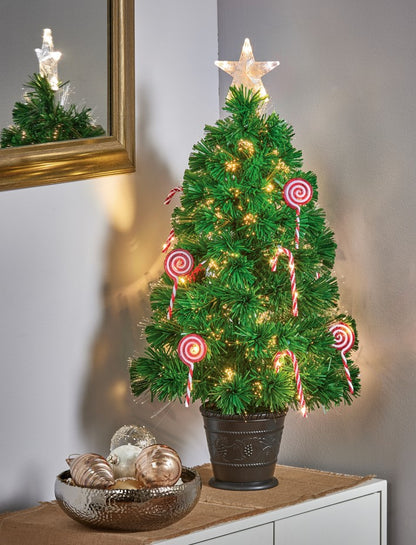 80CM CANDY CANE F/O TREE WARM WHITE | FFT247059DW