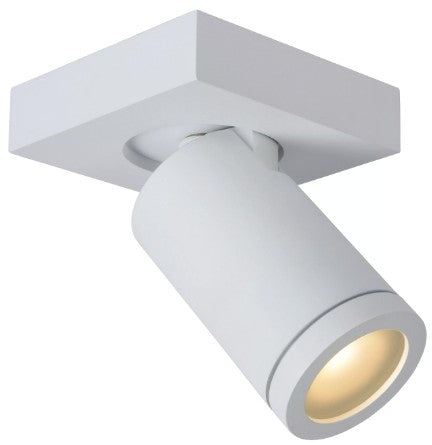 TAYLOR - CEILING SPOTLIGHT BATHROOM - LED DIM TO W | L099300531