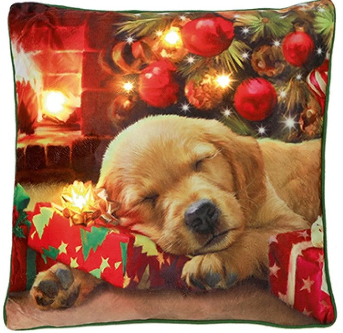 45 X 45CM B-O LIT CHRISTMAS PUPPY | LB242205