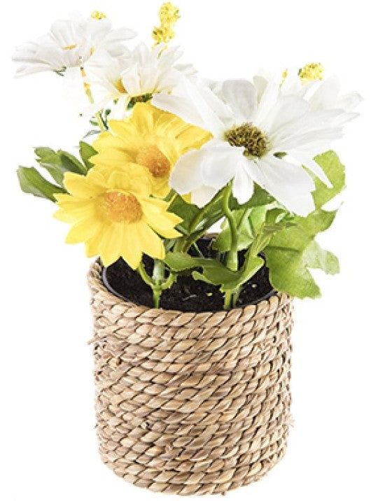 15CM 12PC YELLOW-WHITE FLOWER | PT240430Y