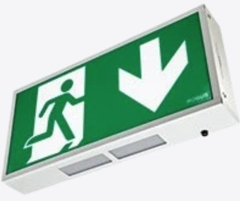 4W EXIT BOX LIFEPO4 C/W DOWN LEGEND | R8EMLP4D01
