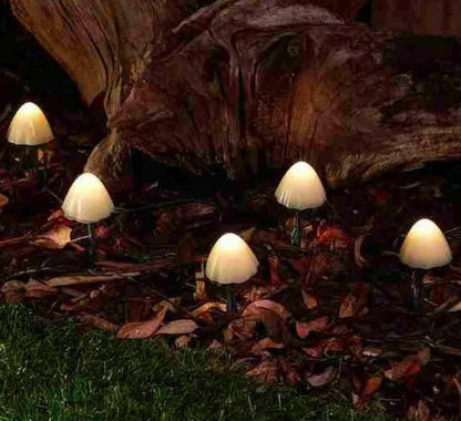 FOREST SOLAR MUSHROOM LIGHTS -SET OF 12 | SC2146
