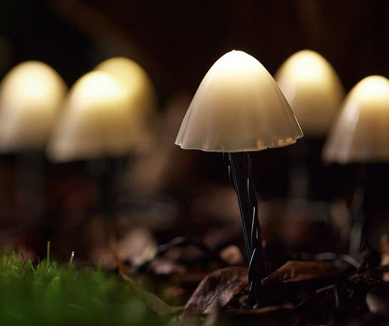 FOREST SOLAR MUSHROOM LIGHTS -SET OF 12 | SC2146