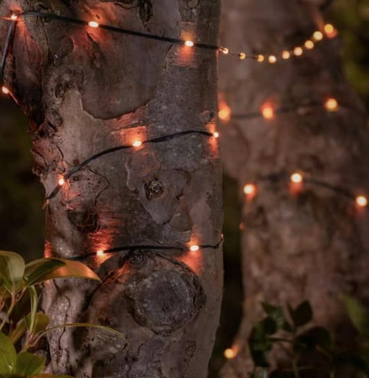 SNOWDROP SOLAR USB LIGHTS | SC2223