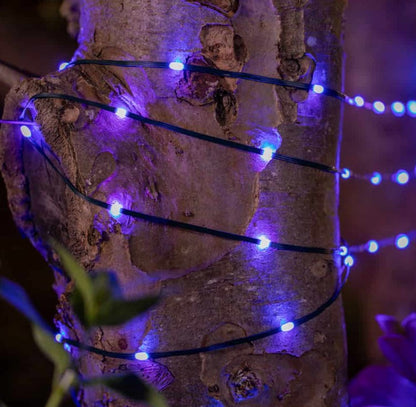 SNOWDROP SOLAR USB LIGHTS | SC2223