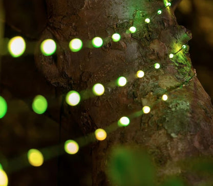 SNOWDROP SOLAR USB LIGHTS | SC2223