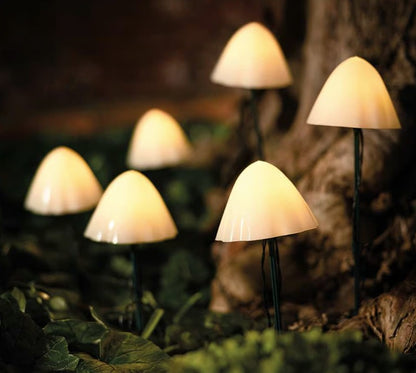 XL FORESTMUSHROOMS (6PK) | SC2402