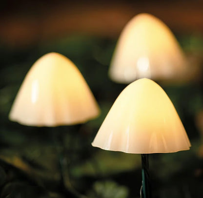 XL FORESTMUSHROOMS (6PK) | SC2402